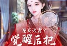 小说《宠妾灭妻?觉醒后把渣男骨灰扬了》章节免费阅读-艾米文学