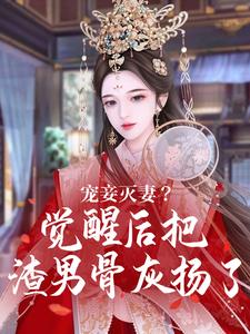 小说《宠妾灭妻？觉醒后把渣男骨灰扬了》章节免费阅读