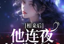 《相亲后，他连夜拉我扯证》小说免费阅读完整版-艾米文学
