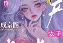 完结版《小可怜破产后，成京圈太子掌中雀》章节阅读-艾米文学
