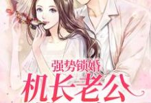 强势锁婚:机长老公揽腰宠这本小说完结了吗?免费查看最新章节-艾米文学