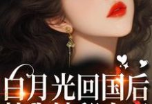 小说完整版《》免费阅读-艾米文学