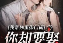小说《我帮你重振门楣，你却要娶别人》章节免费阅读-艾米文学