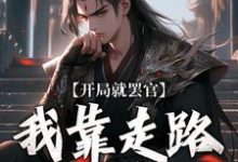 《开局就罢官，我靠走路就能变强》沈星河小说免费阅读完整版-艾米文学