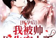 小说《怀孕后,我被帅医生宠上天》章节免费阅读-艾米文学
