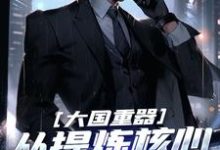 叶辰小说在线章节免费阅读（大国重器：从提炼核心技术开始无弹窗无删减）-艾米文学