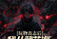 完结版《玩物丧志后,我从藏花海开始逆袭》免费阅读-艾米文学