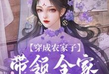 免费在线阅读穿成农家子，带领全家劈风斩浪小说的正规网站有哪些？-艾米文学