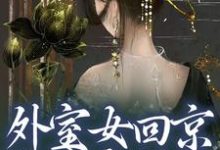 叶眠景珩小说外室女回京,权贵齐折腰完整版阅读-艾米文学
