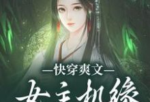 快穿爽文：女主机缘全归我小说的无弹窗阅读体验，寻找免费阅读网站-艾米文学