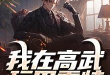 我在高武玩巴雷特，一枪打破光年小说的免费电子版在哪里可以下载或阅读？-艾米文学