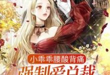 小乖乖腰酸背痛,强制爱总裁是疯批最新章节,小乖乖腰酸背痛,强制爱总裁是疯批免费阅读-艾米文学