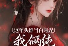 这年头谁当白月光，我俩纯纯走剧情温沅李昭小说免费阅读-艾米文学