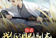 完结版《综武：我低调刷副本，入世即无敌》章节目录在线阅读-艾米文学