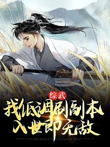 综武：我低调刷副本，入世即无敌赵骞小说在线章节免费阅读
