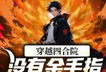 小说《穿越四合院:没有金手指也能撕禽兽》完整版在线章节免费阅读-艾米文学