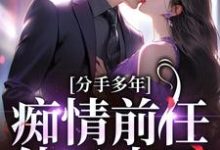 分手多年，痴情前任他又来了！周从宜简川柏，分手多年，痴情前任他又来了！章节在线阅读-艾米文学