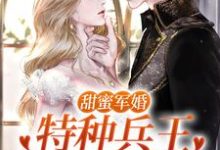 洛芊允陆云峥小说完整版《甜蜜军婚：特种兵王宠她入骨！》免费阅读-艾米文学