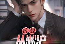 抗战：从淞沪保卫战开始完整版最新章节，抗战：从淞沪保卫战开始章节在线阅读-艾米文学