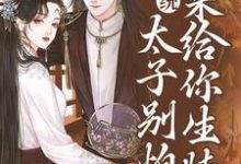 许锦意小说完结版在线阅读，系统：太子别怕，我来给你生娃了免费看-艾米文学