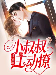 完结版《谁懂！禁欲小叔夜里暗撩》在线免费阅读