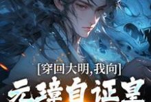 穿回大明，我向元璋自证皇长孙身份朱雄英朱元璋，穿回大明，我向元璋自证皇长孙身份在线无弹窗阅读-艾米文学