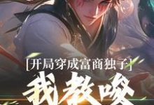 开局穿成富商独子，我教唆老爹造反小说全文哪里可以免费看？-艾米文学