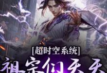 已完结小说《超时空系统：祖宗们天天往我这跑》在线章节阅读-艾米文学