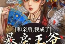 在线寻找和亲后,我成了暴戾王爷的心尖宠小说的无删减版本-艾米文学