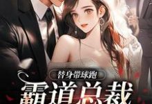 小说《替身带球跑,霸道总裁深陷火葬场》完整版章节免费阅读-艾米文学