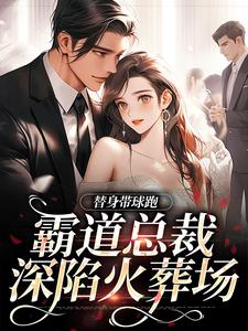 小说《替身带球跑，霸道总裁深陷火葬场》完整版章节免费阅读