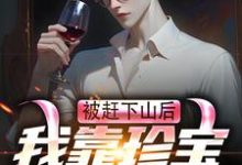 完整版小说《被赶下山后，我靠珍宝登上巅峰》免费阅读-艾米文学