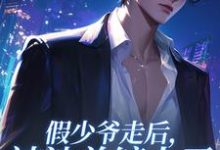 假少爷走后，被池总缠上了小说免费资源，假少爷走后，被池总缠上了在线阅读-艾米文学