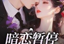 《暗恋暂停,开始恋爱》小说宋霜序贺庭洲章节章节免费在线阅读-艾米文学