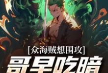 已完结小说《众海贼想围攻，哥早吃暗暗果实了》章节免费阅读-艾米文学