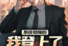 系统觉醒后，我登上了权力巅峰魏合小说大结局免费试读-艾米文学