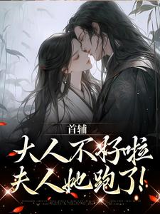 已完结小说《首辅大人不好啦，夫人她跑了！》在线章节阅读