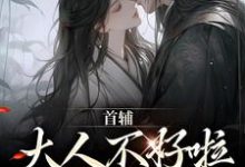 完整版《首辅大人不好啦,夫人她跑了!》小说免费阅读-艾米文学