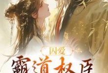 囚爱，霸道权臣诱娇婢女小说完结版章节免费阅读-艾米文学