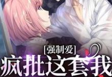 《强制爱？疯批这套我有防御装》全集免费在线阅读（乔桥沈淮序）-艾米文学