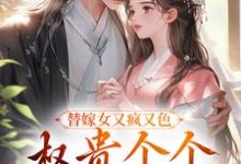 江芙小说免费阅读完整版-艾米文学