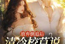 苏晚秋完整版《放弃倒追后，清冷校草说他喜欢我》小说免费阅读-艾米文学
