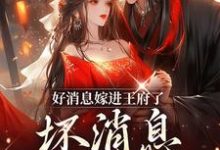 完结版《好消息嫁进王府了，坏消息老公绝嗣》在线免费阅读-艾米文学
