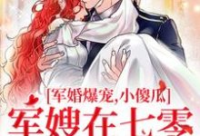 许烟宋言彻小说军婚爆宠，小傻瓜军嫂在七零赢麻了章节免费阅读-艾米文学