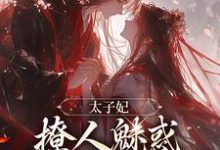 求太子妃撩人魅惑,太子纵情坠落小说免费资源-艾米文学
