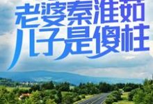 情满四合院：老婆秦淮茹，儿子是傻柱何大清傻柱在线章节免费阅读-艾米文学