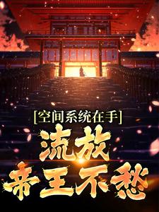 空间系统在手，流放帝王不愁完整版最新章节，空间系统在手，流放帝王不愁章节在线阅读