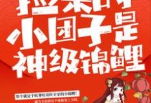 已完结小说《捡来的小团子是神级锦鲤》最新章节-艾米文学