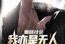 重回社会，我亦是无人敢得罪的存在小说的无弹窗阅读体验，寻找免费阅读网站-艾米文学