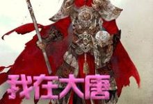 完整版《我在大唐卖军火》小说免费阅读-艾米文学